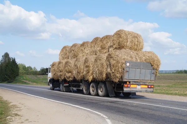 Veículos pesados que transportam grandes fardos de feno forma redonda — Fotografia de Stock