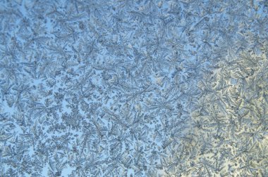 Kış camına kaprisli desenleri