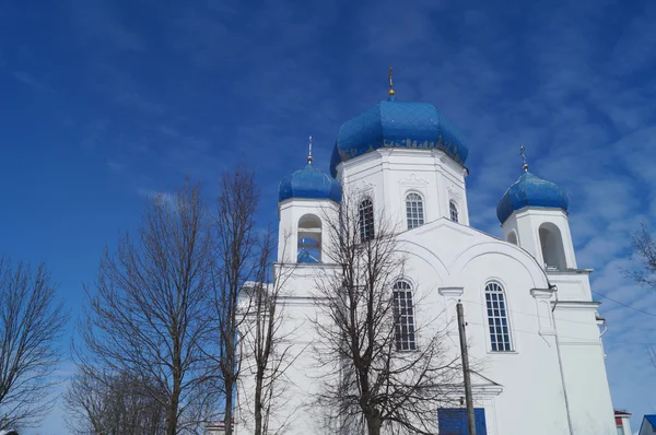 -preobrazhenskaya Holy Church.  18th century foundation — Stock Photo, Image