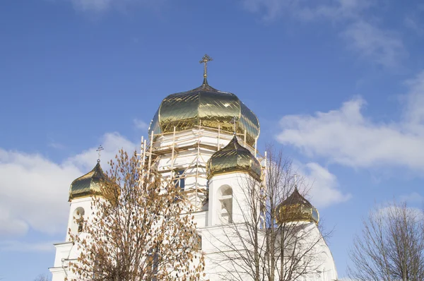 La religion. Dômes d'or de l'église Saint-Preobrazhenskoy. Bélarus — Photo