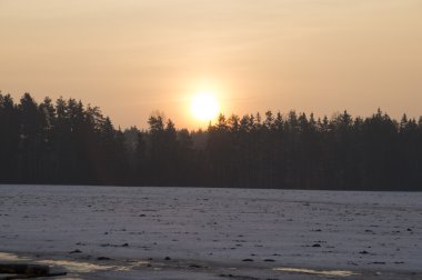 Kış. Ormanın içinde güzel gündoğumu