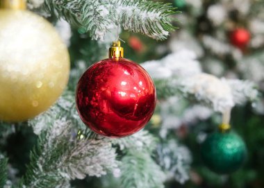 Karla kaplı köknar ağacındaki kırmızı top. Mutlu yıllar ve Noel süslemeleri. Tatil kutlaması.