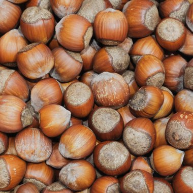 Bir yığın kabuklu fındık. Fındık desenli desen. Gıda arkaplanı.