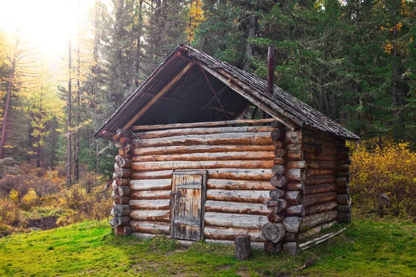 La solitaria casa de madera abunda en el bosque. Antiguo edificio de madera desvencijado en la mañana. — Foto de Stock