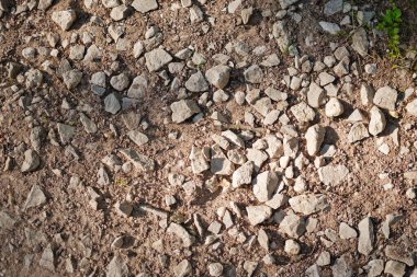 Toprak yol parçasının üst görüntüsü. Kuru topraklar taşlarla dolu. Soyut doğal dokulu arka plan. Yerdeki taşlar ve çakıl taşları.