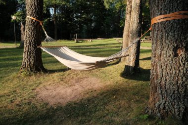 Yazın güneşli bir günde ağaçların arasında asılı hamak. İnsansız fotoğraf.