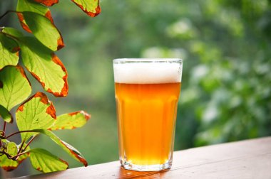 Soğuk hafif bira, beyaz köpüklü cam, ahşap masa, arka planda bulanık doğa..