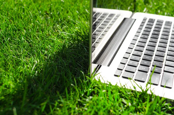 laptop ile çalışma