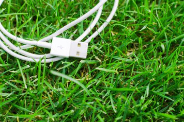 Çim detay üzerinde beyaz Usb kablosu