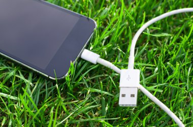 Çimenlerin üzerinde kablo ile telefon detay