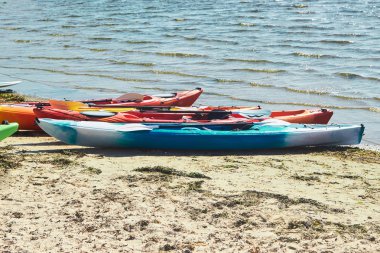 Kayaks in many colours on a beach 