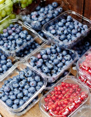 Blueberry kutulara market