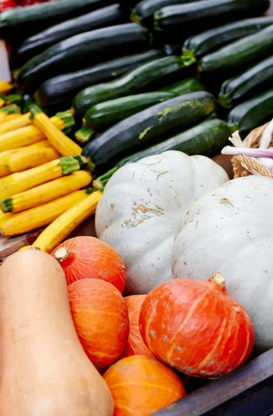 Bir çiftçi pazarda sebze — Stok fotoğraf