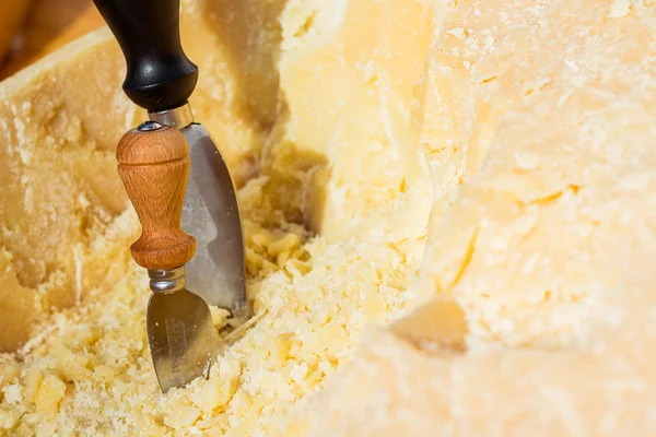 Queijo Parmigiano no mercado — Fotografia de Stock