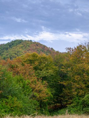 Sonbahar güneşli havada dağlarda