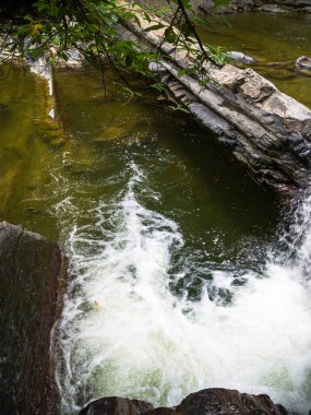 Nehirdeki şelale ve üzerinde bir ağaç dalı. Üst manzara.