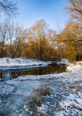 Karda nehir ve ağaçlar Kış manzarası
