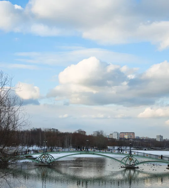 Park panoramasında, gölün üzerindeki köprü.