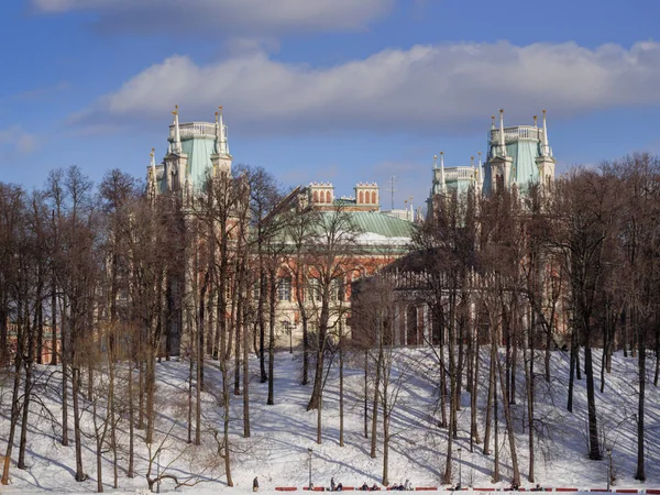 Tsaritsyno parkındaki tepede saray panoraması