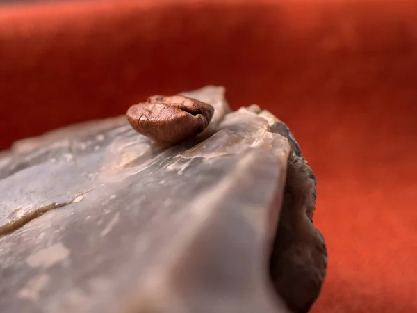 Kahve çekirdeği, yakın plan.