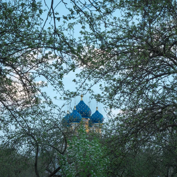Hristiyan kilisesi Kolomenskoe 'daki bir ağacın dalları arasından bakıyor.