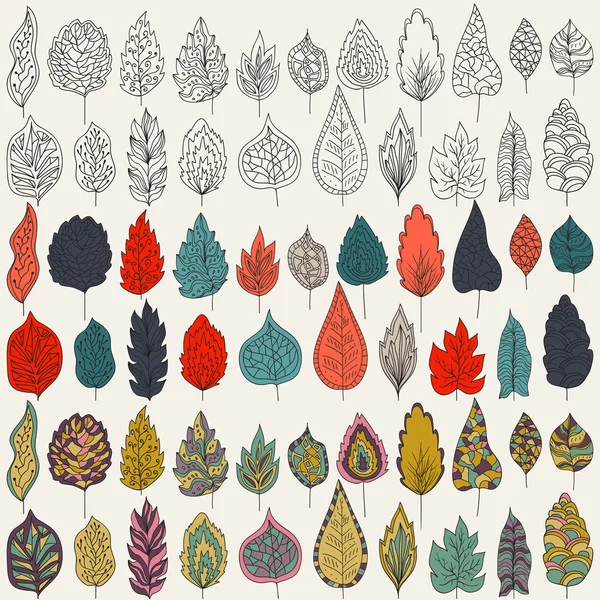 Vector set of leaves, outline, colors and milticolors variants. Isolated on white background for seasonal design — Stock Vector
