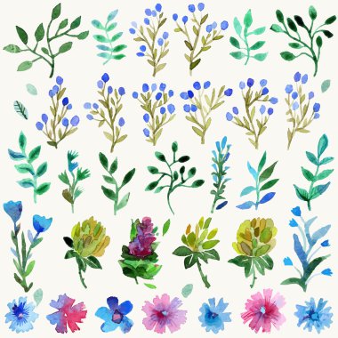 Watercolor vector set with leaves and flowers. Hand drawn plant.