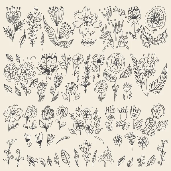 手描きの花と葉のセット. — ストックベクタ