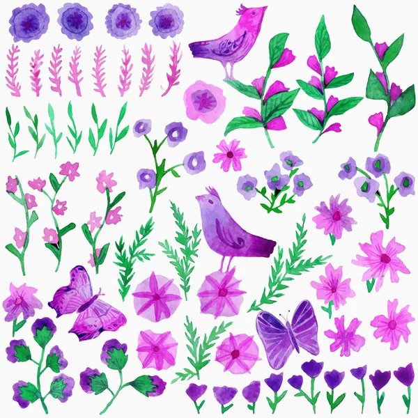 Watercolor vector set with leaves, flowers, birds and butterflys. Hand drawn plant. — Wektor stockowy