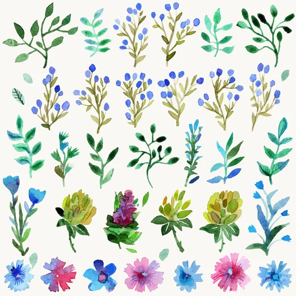 Aquarell-Vektorset mit Blättern und Blumen. Handgezeichnete Pflanze. — Stockvektor