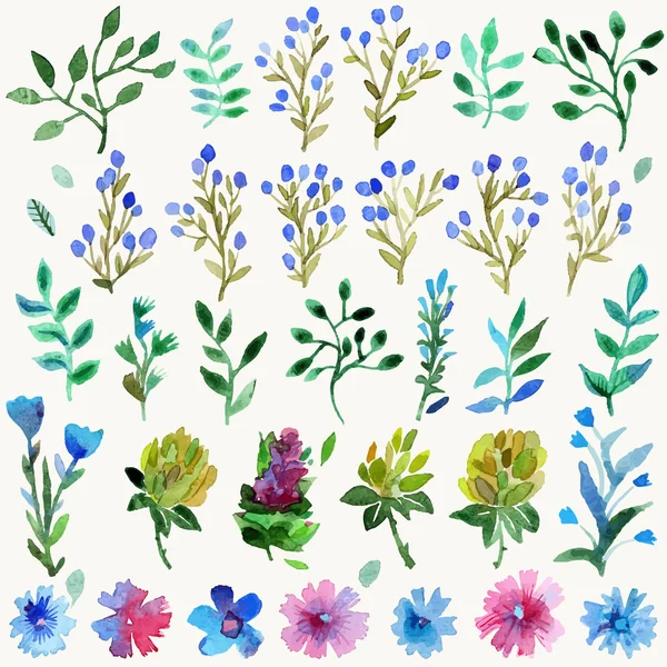 Juego de vectores de acuarela con hojas y flores. Planta dibujada a mano . — Archivo Imágenes Vectoriales