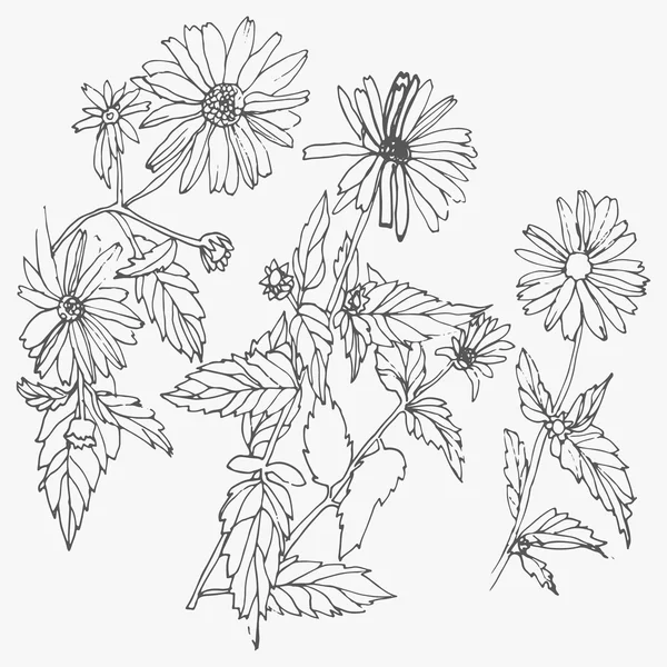 Set of hand drawn flowers isolated on white background. — 스톡 벡터