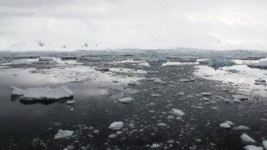 Antarktika okyanus yüzey üzerinde yüzen buz.