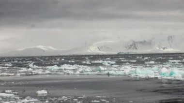 Antarktika okyanus yüzey üzerinde yüzen buz.