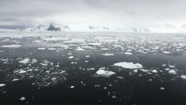 Il ghiaccio galleggia sulla superficie oceanica nell'Antartico . — Video Stock