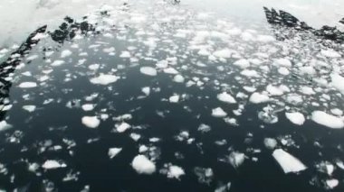 Buz ve okyanus yüzeyindeki küçük buzdağları şamandıralar.