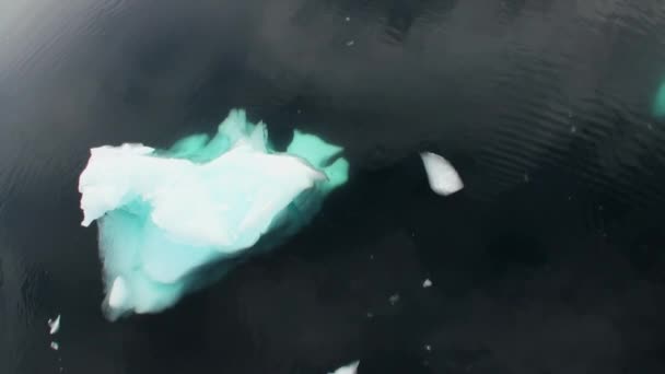 氷と海の表面に小さい氷山浮かぶ. — ストック動画