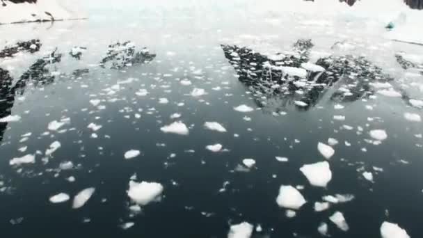 Ice and small icebergs floats on ocean surface. — Stock Video