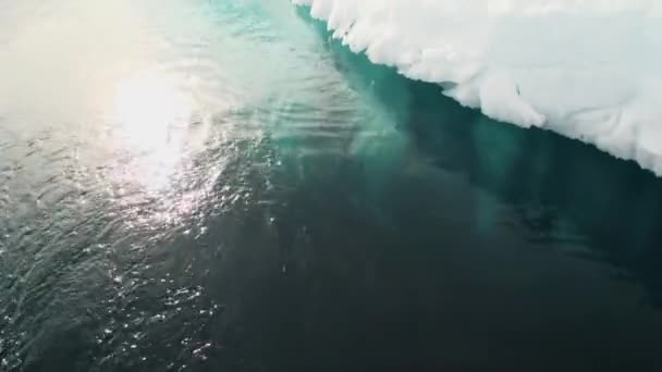 Een kleine ijsberg drijvend in wateren van Antarctica. — Stockvideo