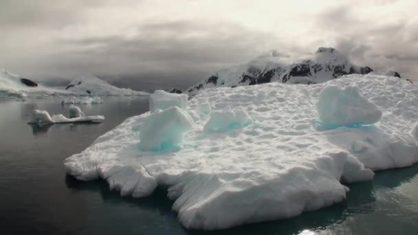 Een kleine ijsberg drijvend in wateren van Antarctica. — Stockvideo