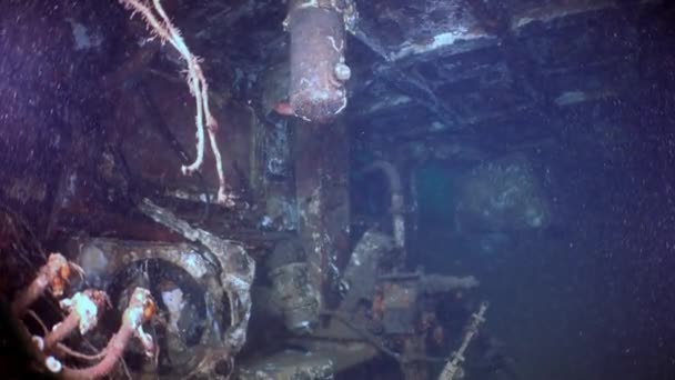 Red sea sponges in the wreckage of a shipwreck. — Stock Video