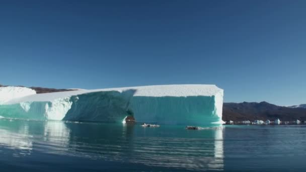 Montagnes maritimes et grands icebergs reflétant l'eau . — Video