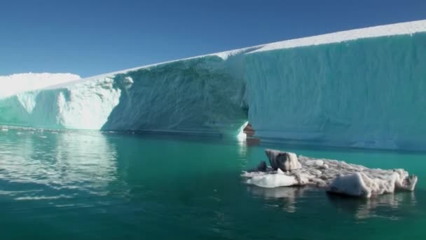 Havet bergen och stora isberg reflekterande vatten. — Stockvideo