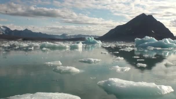 Морские горы и большие айсберги, отражающие воду . — стоковое видео