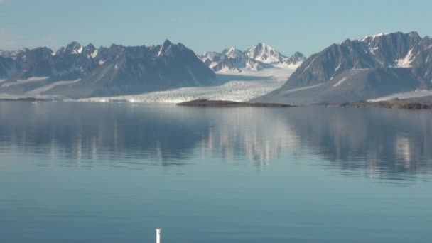 Montañas marinas y grandes témpanos que reflejan el agua . — Vídeo de stock