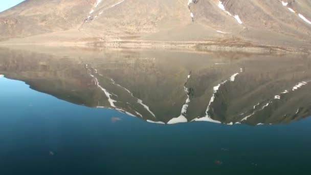 Havet bergen och stora isberg reflekterande vatten. — Stockvideo