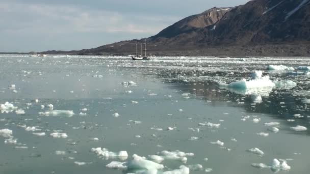 Montagnes maritimes et grands icebergs reflétant l'eau . — Video