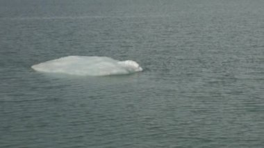 Buzdağları ayna okyanus deniz yüzeyinde yüzen.