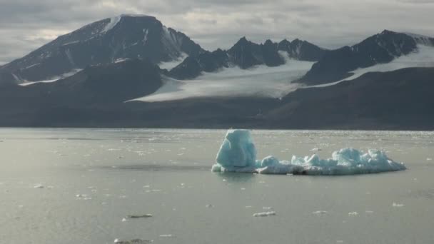 icebergs flottants sur la surface miroir de la mer océanique .