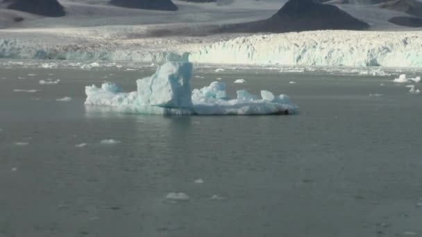 Icebergs flotantes en la superficie del espejo del mar del océano . — Vídeos de Stock